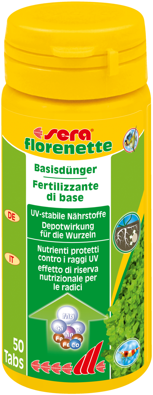 sera florenette