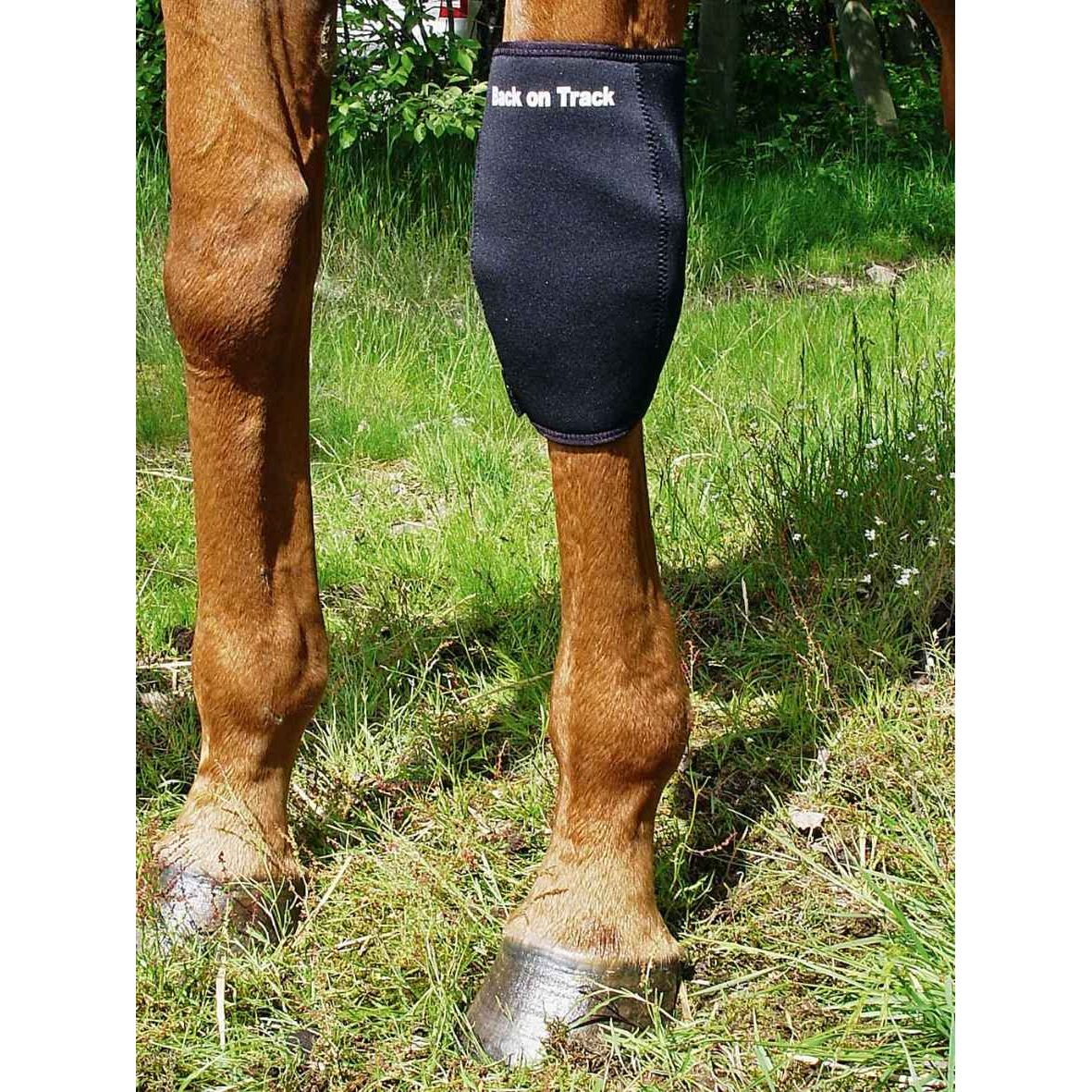 BACK ON TRACK Karpalgelenkschoner LINKS