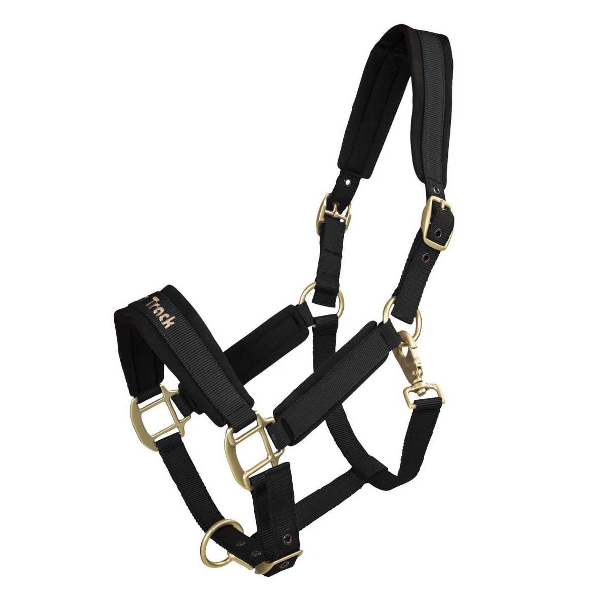 BACK ON TRACK Halfter Werano