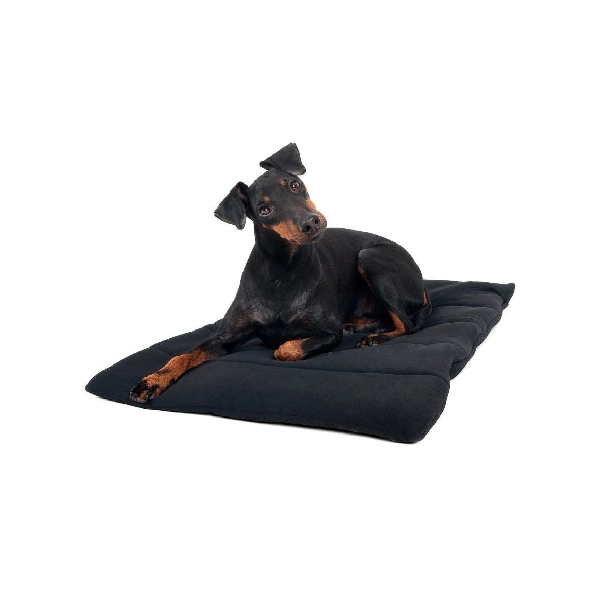 BACK ON TRACK Hundekissen, schwarz, 50 x 68 cm