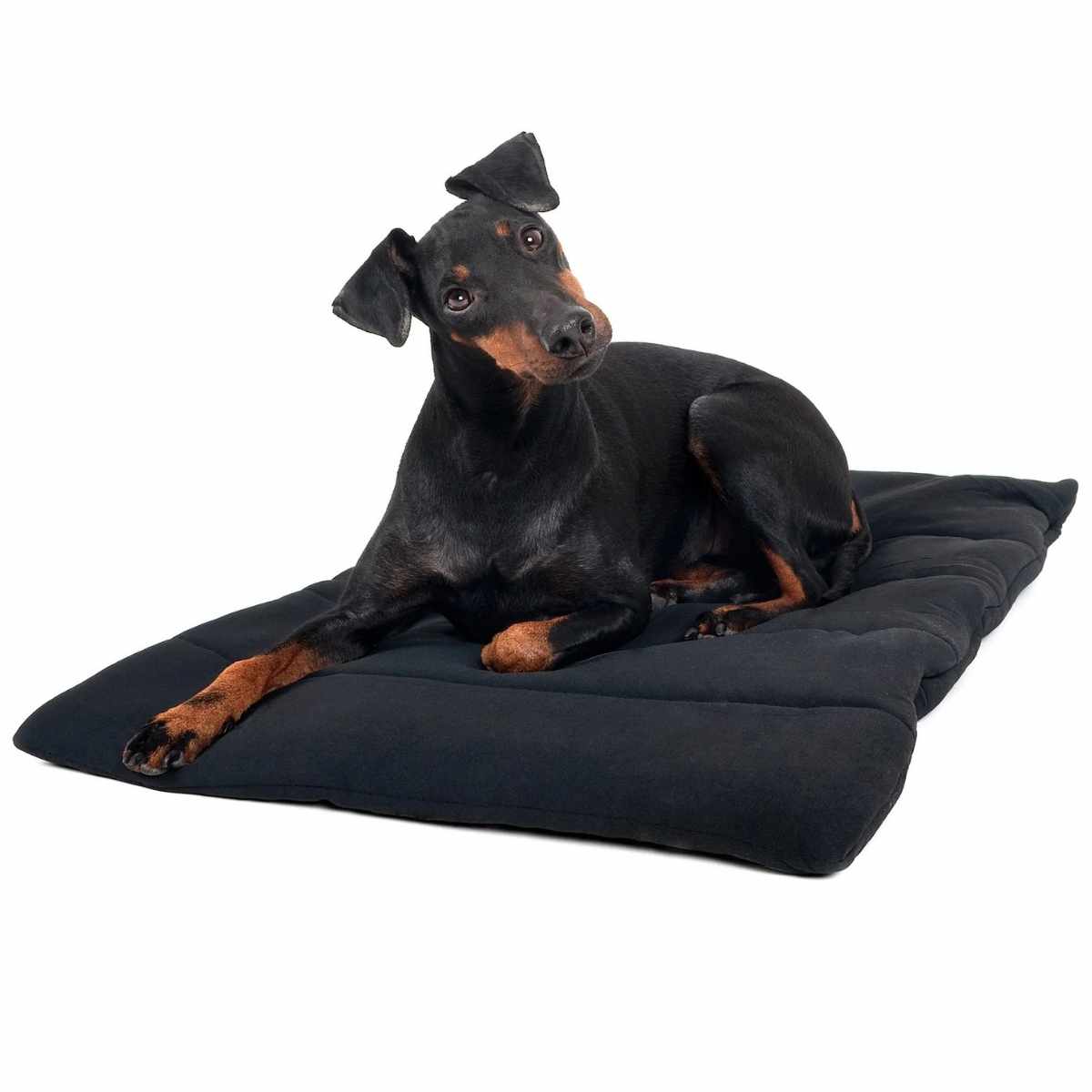 BACK ON TRACK Hundekissen, schwarz, 50 x 68 cm