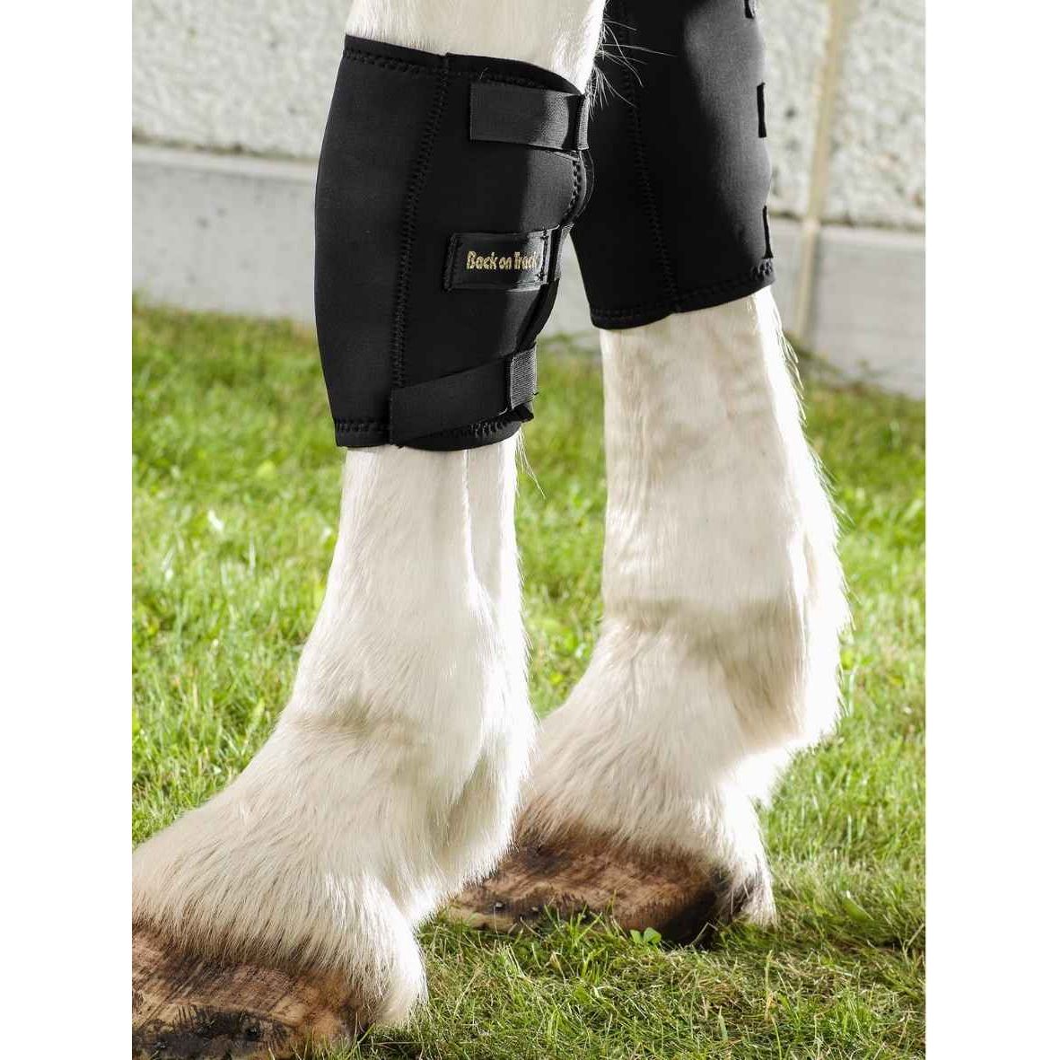 BACK ON TRACK Karpalgelenkschoner RECHTS