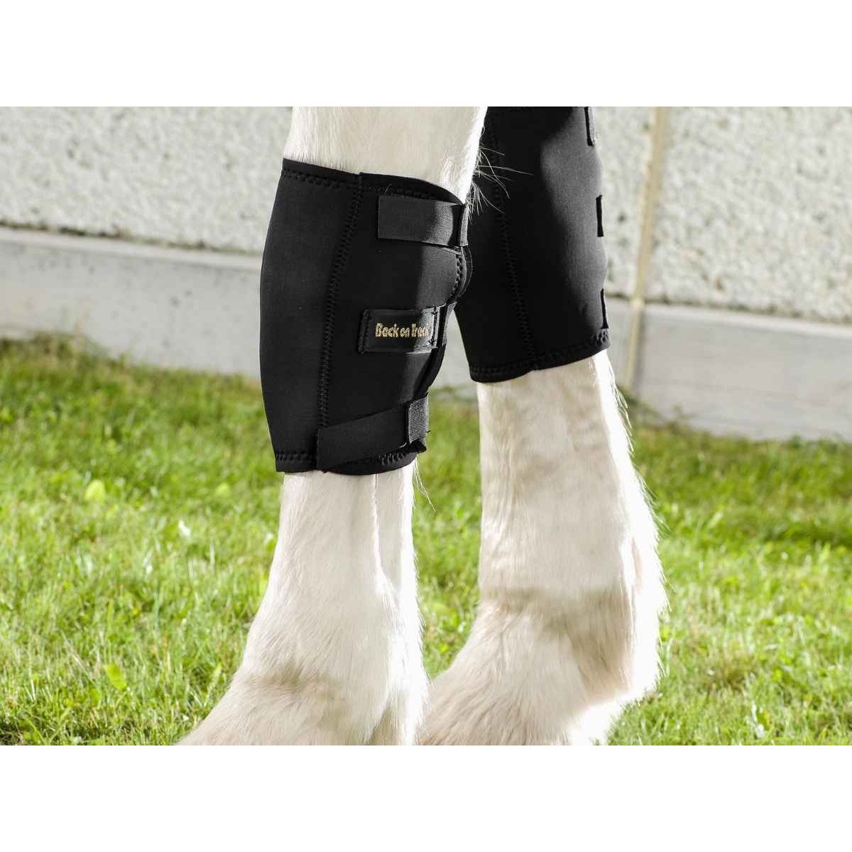 BACK ON TRACK Karpalgelenkschoner RECHTS