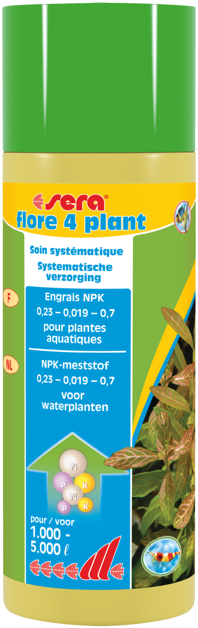 sera flore 4 plant