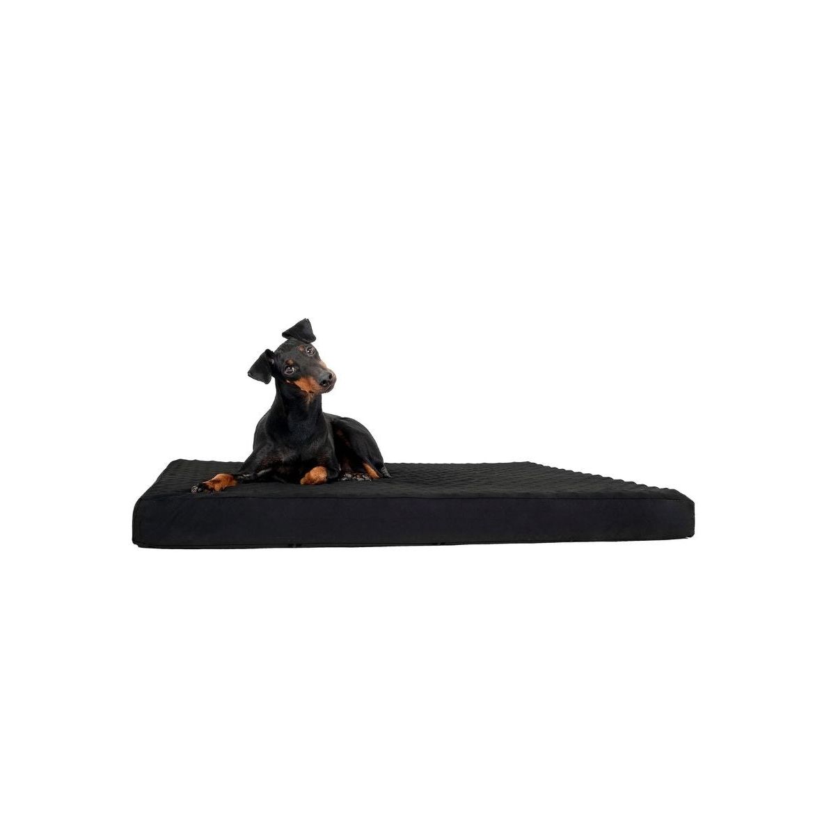 BACK ON TRACK Hundematratze