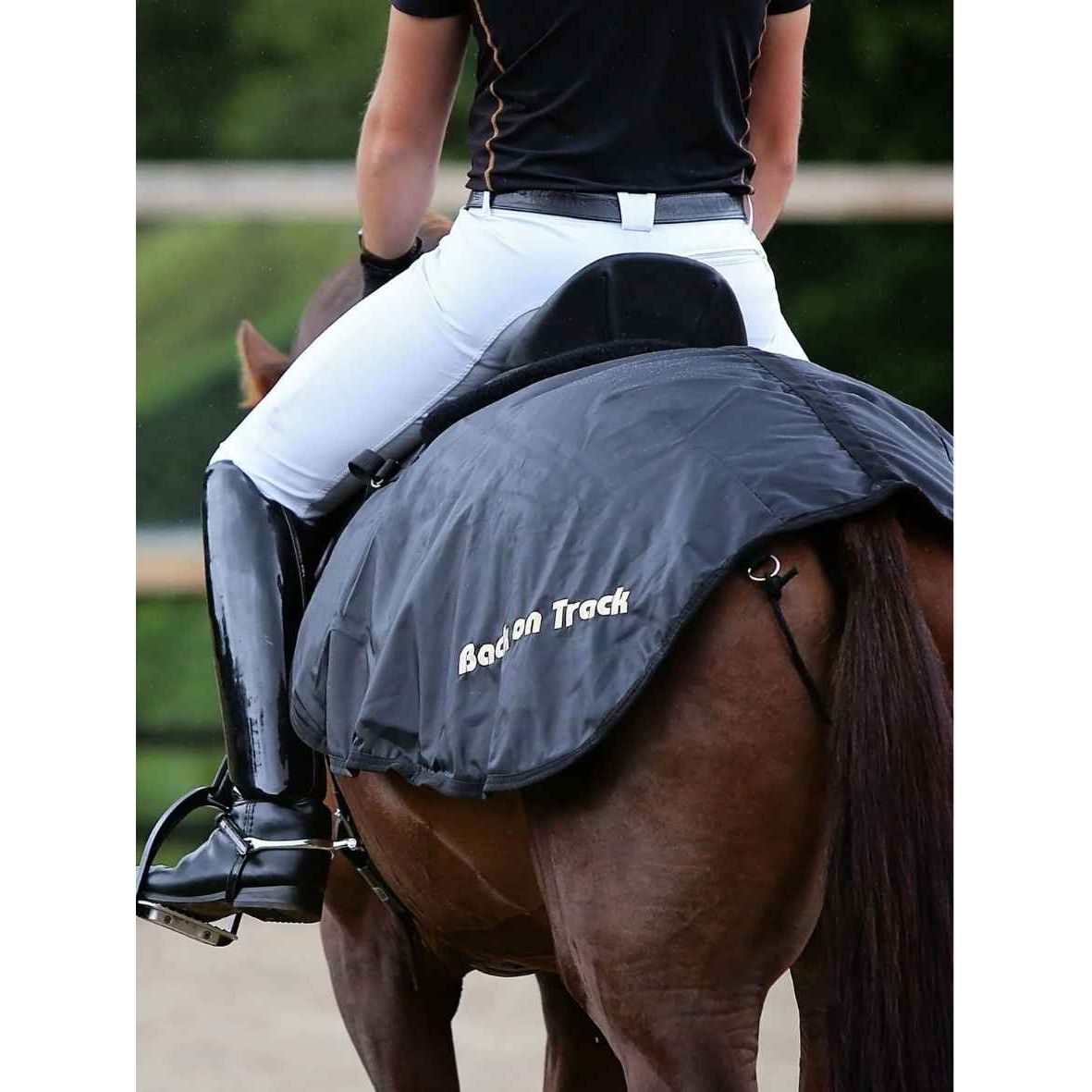 BACK ON TRACK Nierendecke Pferd