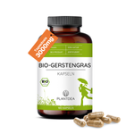 Bio Gerstengras Kapseln