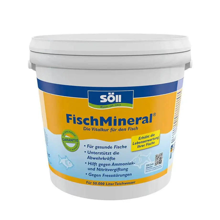 Söll FischMineral