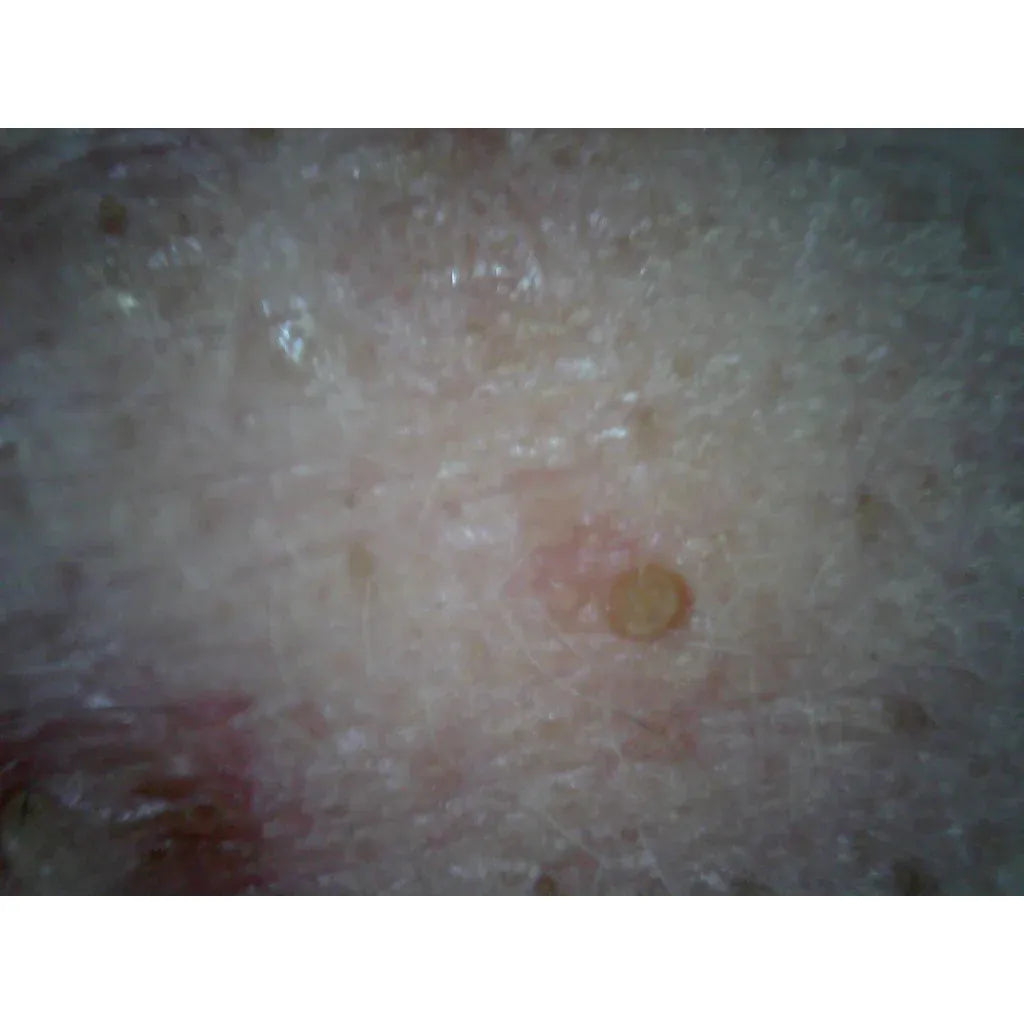 Supereyes B007 USB Digital Mikroskop Digitalmikroskop 1 bis 300-facher Vergrößerung mit LED-Beleuchtung und Stativ (Copy) (Copy)