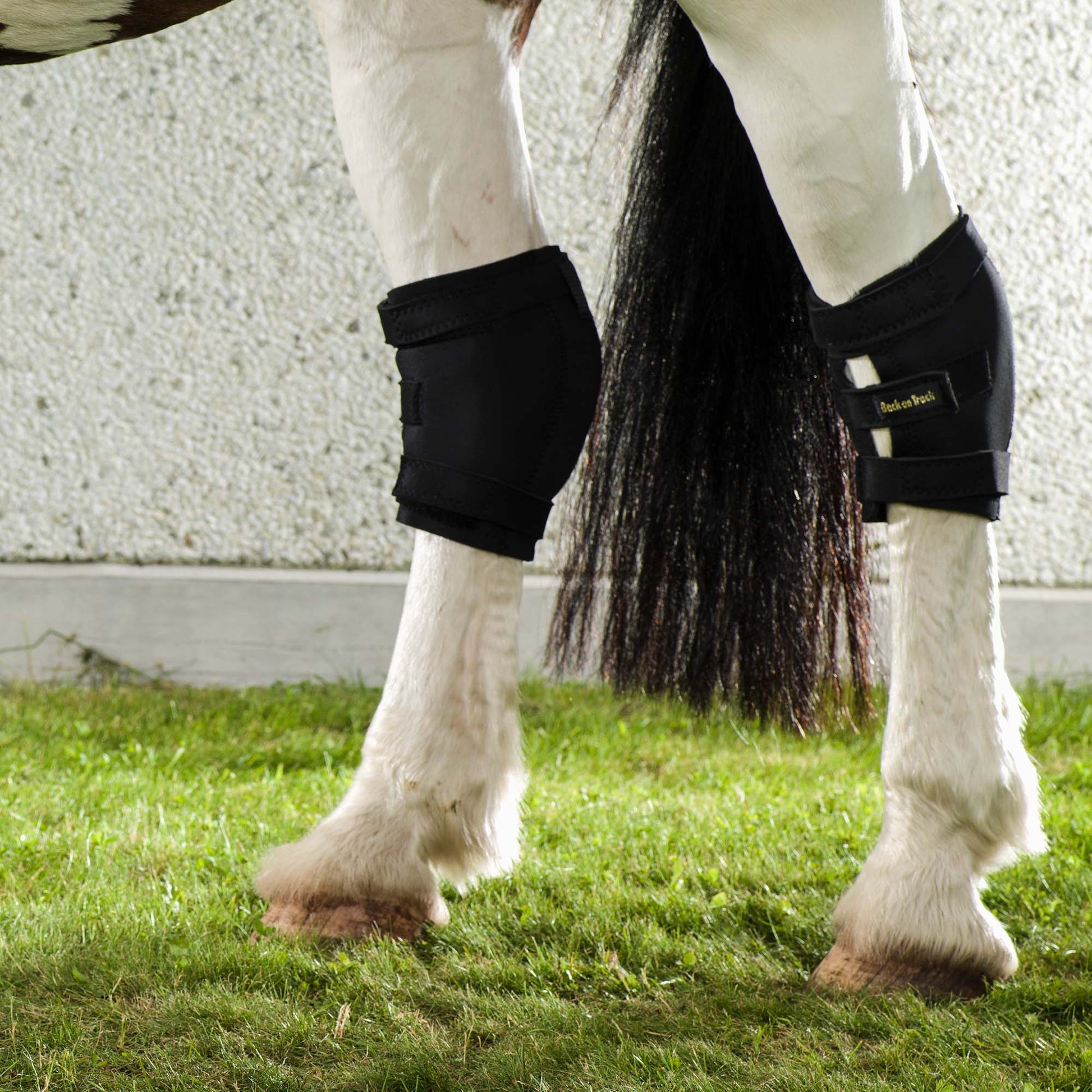 Sprunggelenkschoner Rechts