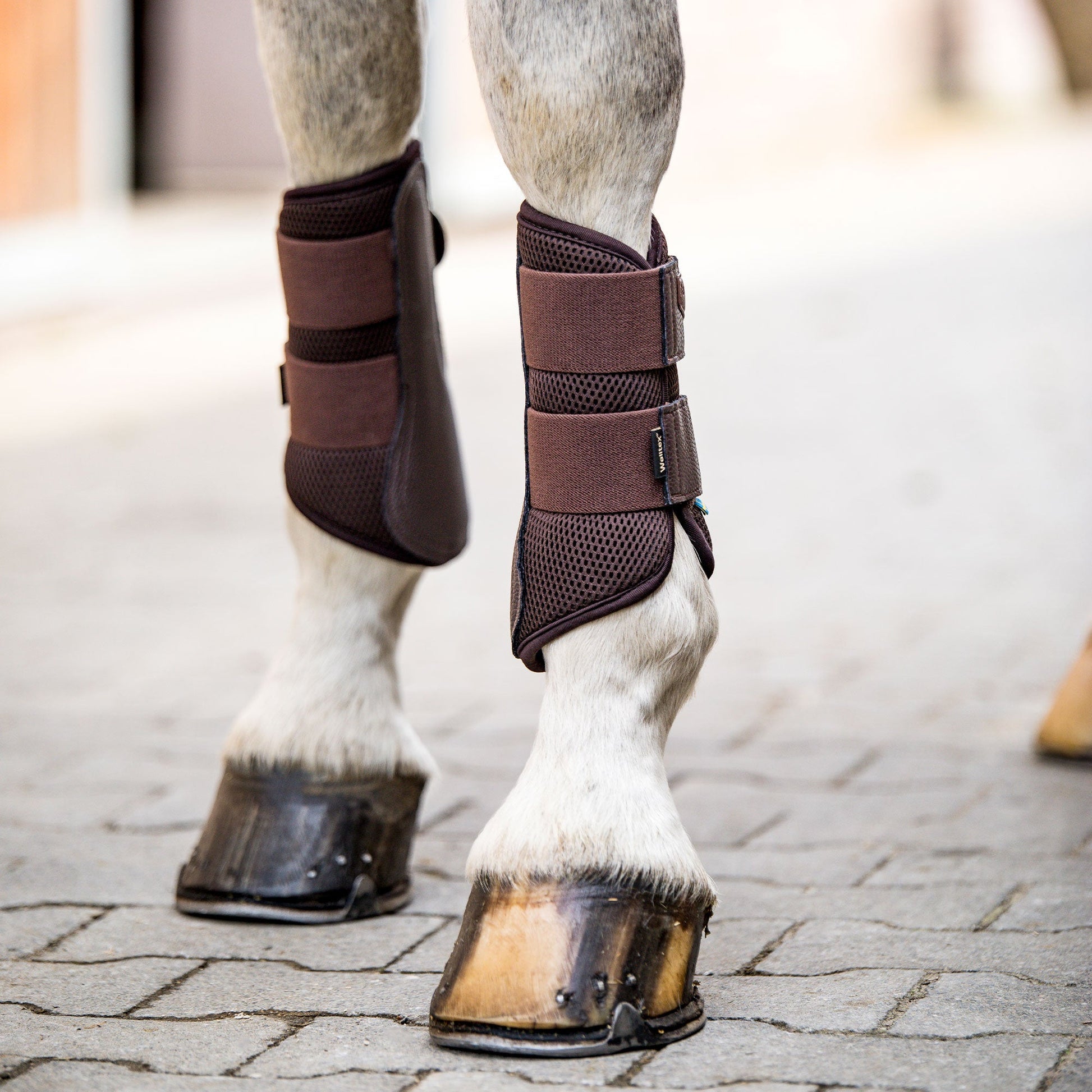 "Airflow" Brush Boots - Braun