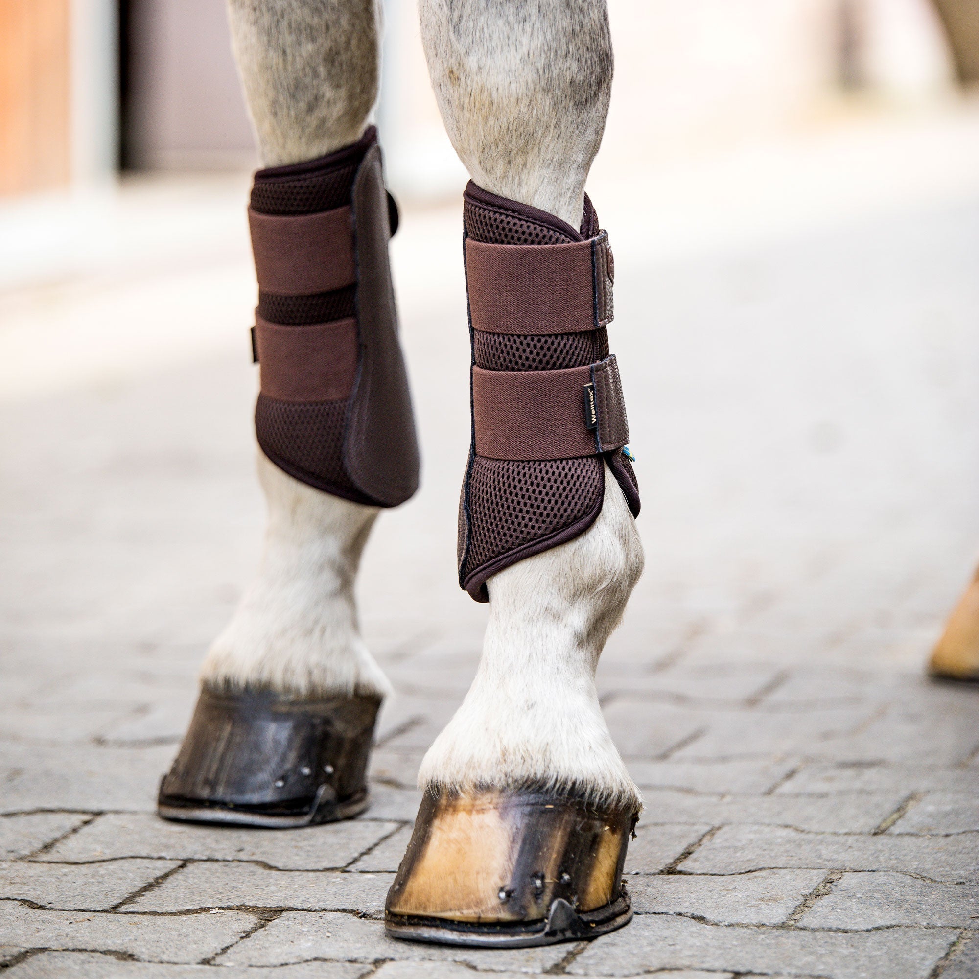 "Airflow" Brush Boots - Braun