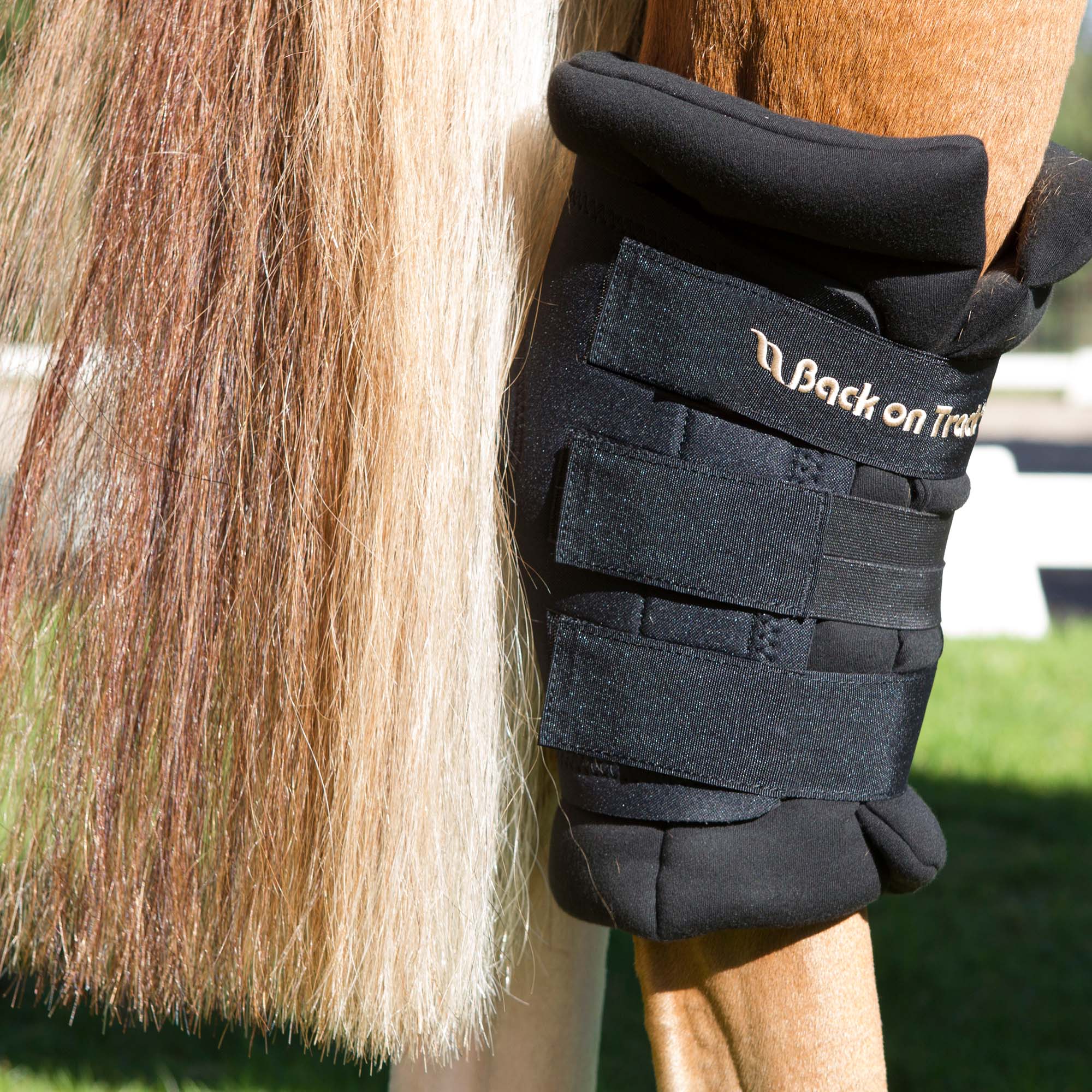 Royal Sprunggelenkschoner (Paar)