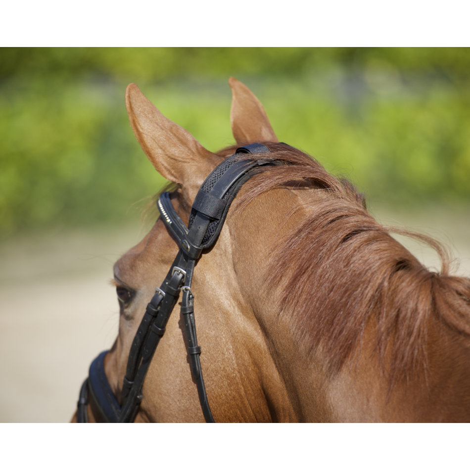 Genickschoner mit 4 Klettbändern