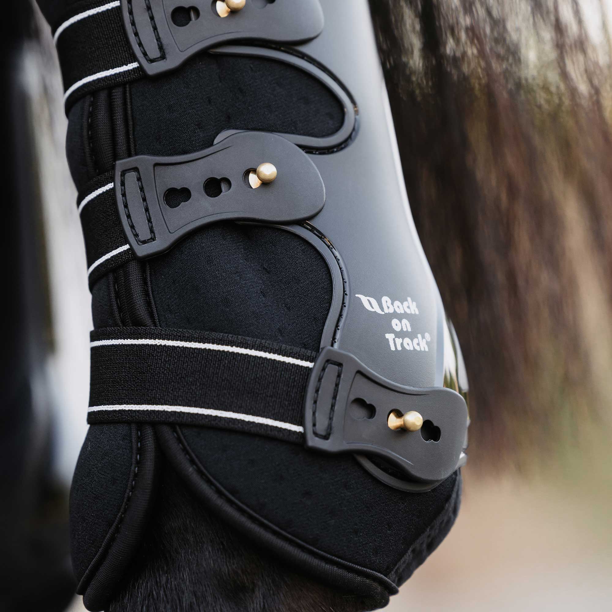 Royal Arbeitsgamaschen Vorderbein