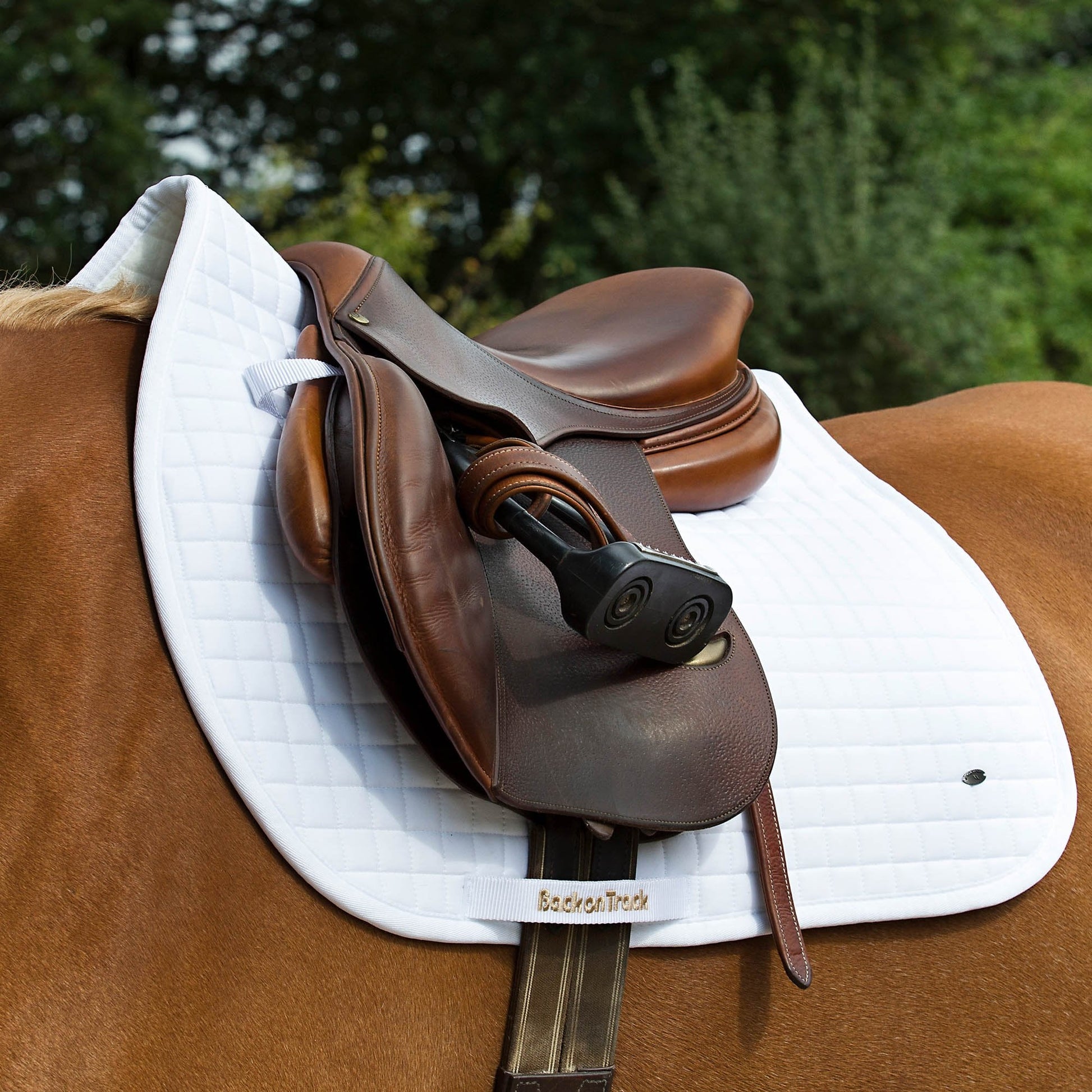 Schabracke No.I Springen