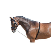 EQuest Softtouch Longierhilfe 2 Ringe