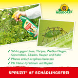 Neudorff Spruzit AF Schädlingsfrei 250 ml
