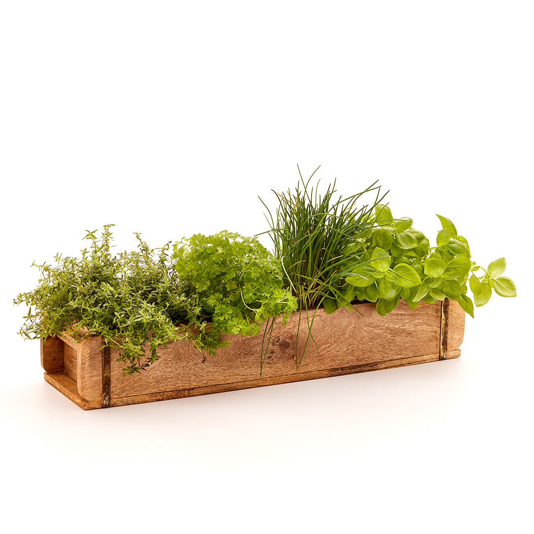 Lange Ziegelform mit 2 Fächern