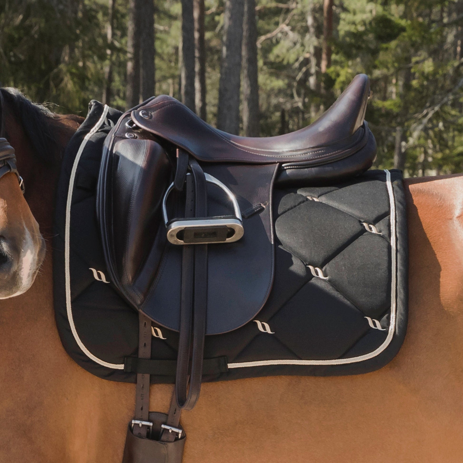 "Nights Collection" Schabracke Dressur Schwarz - Full