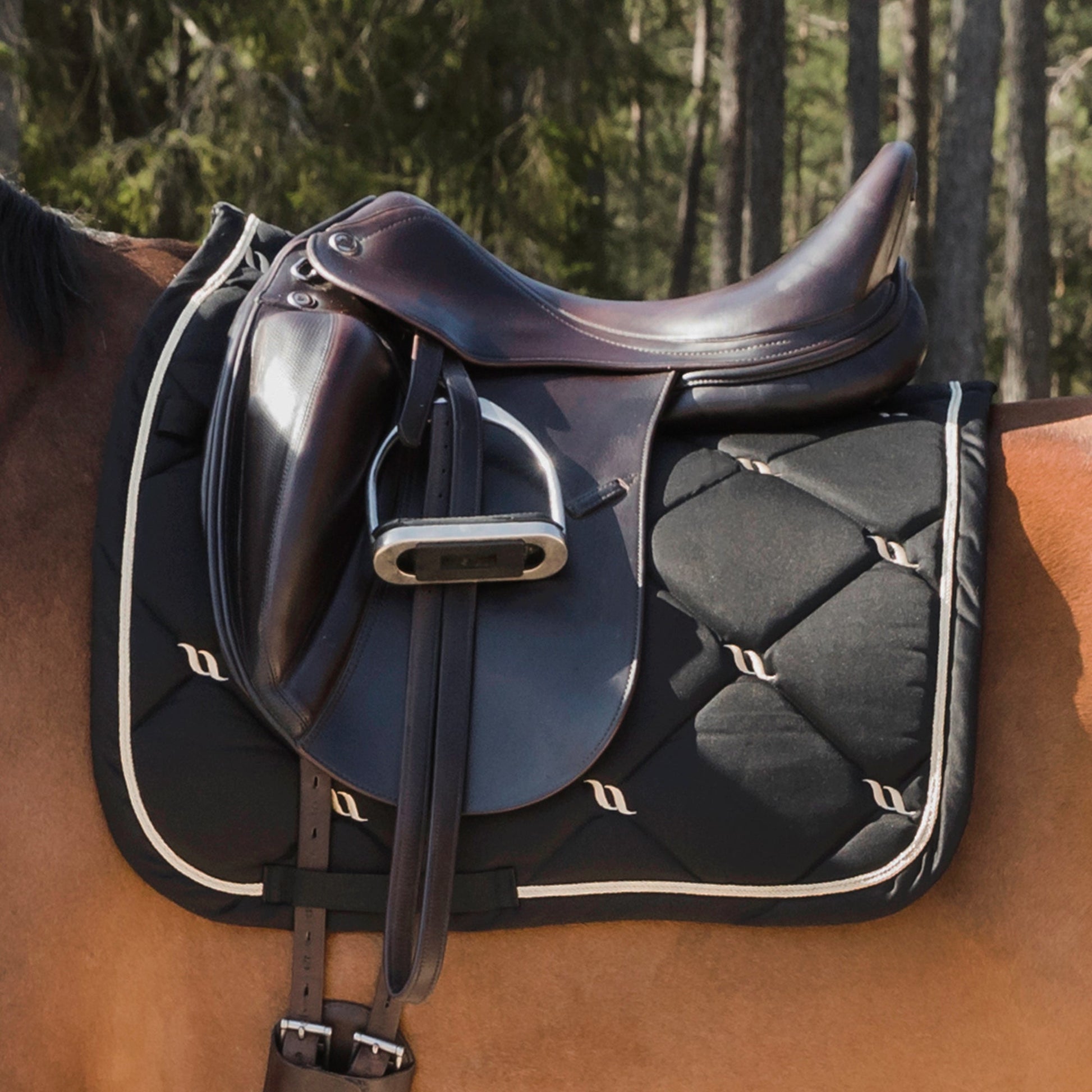 "Nights Collection" Schabracke Dressur Schwarz - Full