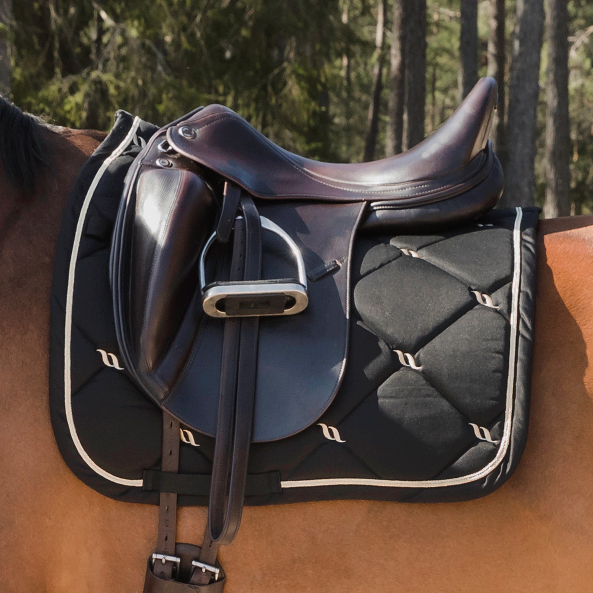 "Nights Collection" Schabracke Dressur Schwarz - Full