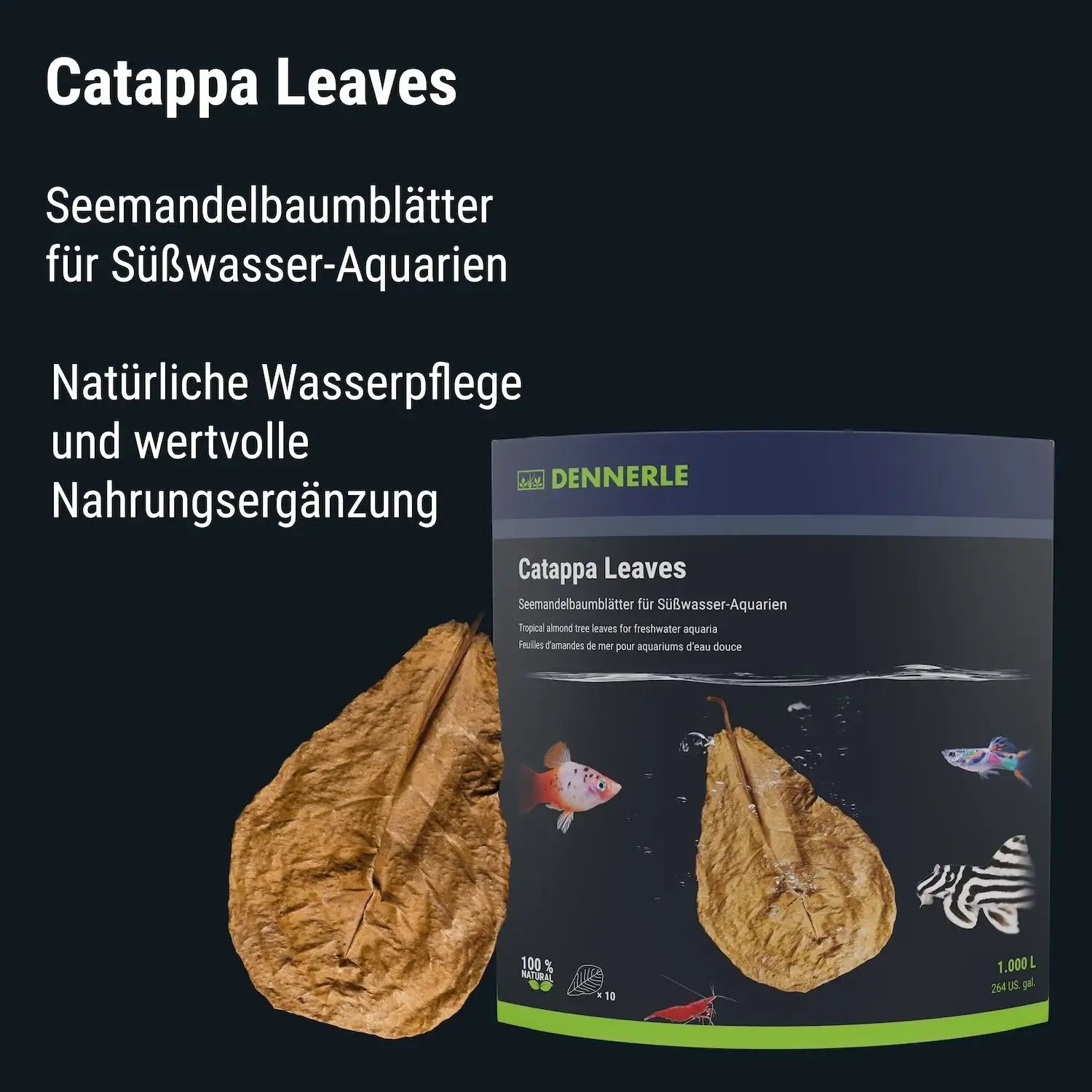 Catappa Leaves