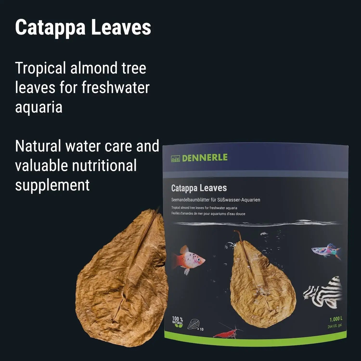 Catappa Leaves
