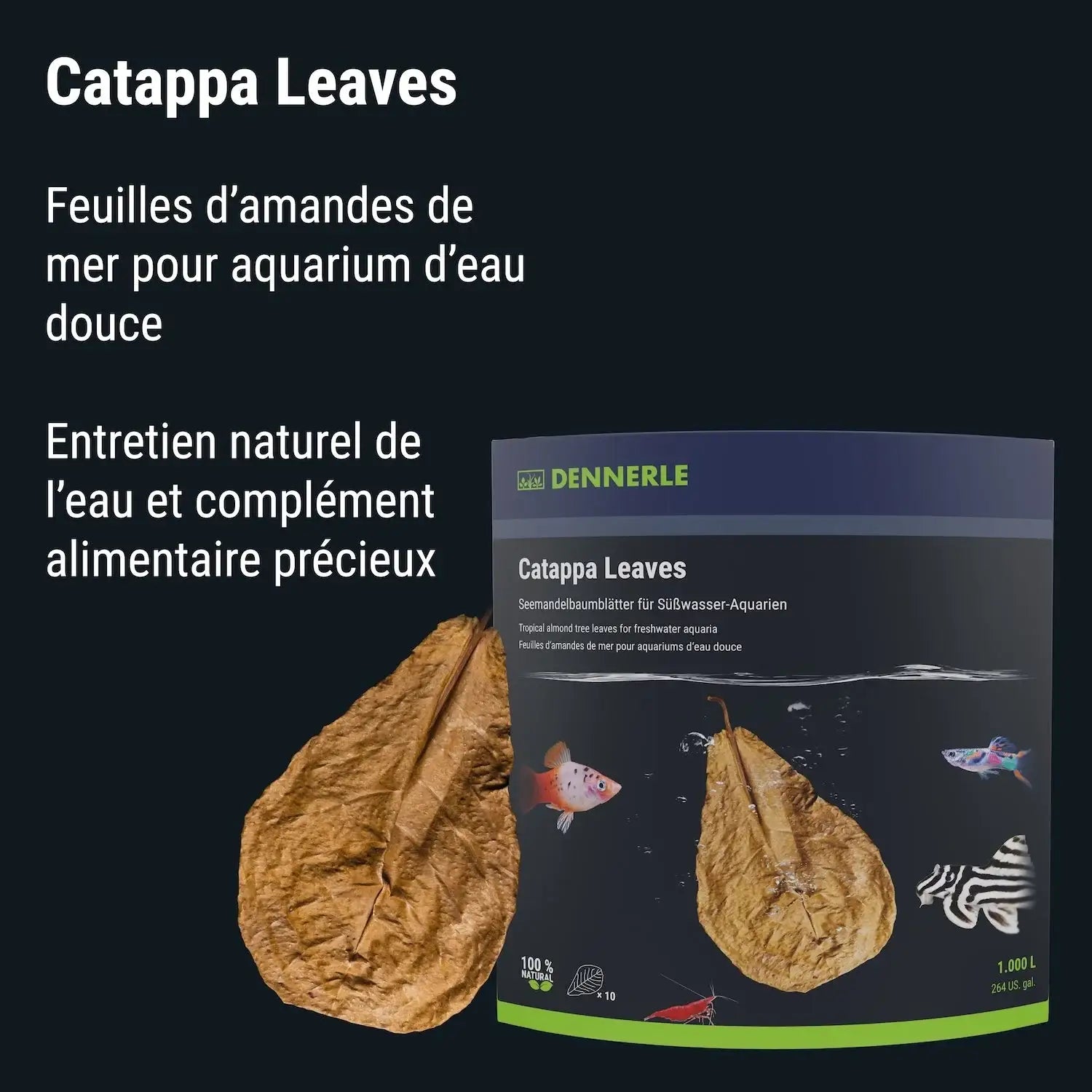 Catappa Leaves