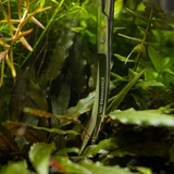 Plant Scissor Curved