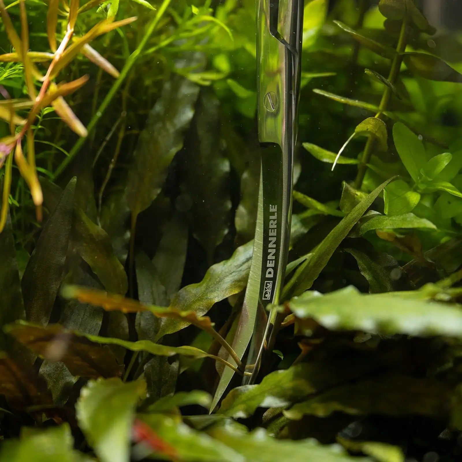 Plant Scissor Curved