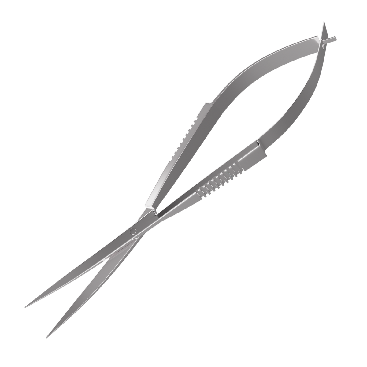Plant Scissor Spring