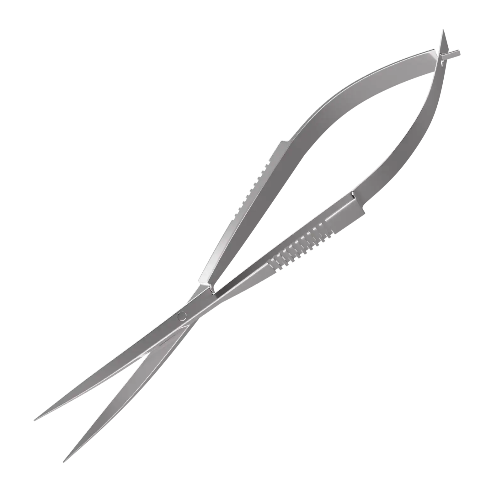 Plant Scissor Spring