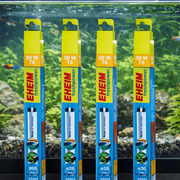 4 Stück  EHEIM freshpower Daylight T8 30 Watt