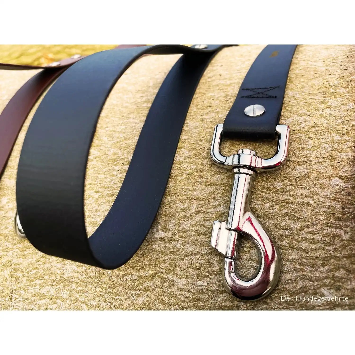 Hundeleine UM'S ECK (1,50 m) aus BioThane®/POP - Band by Der Hundegefährte