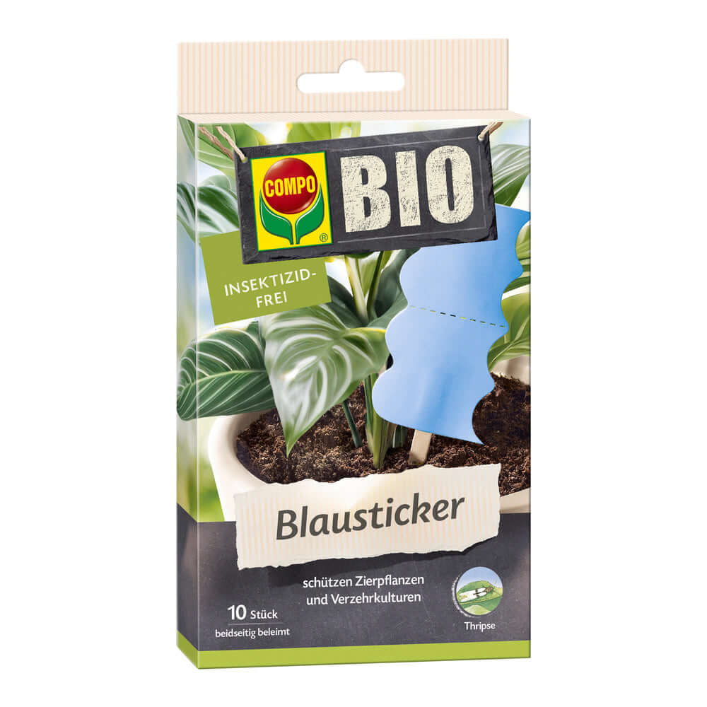 COMPO BIO Blausticker Leimfalle in dekorativer Form