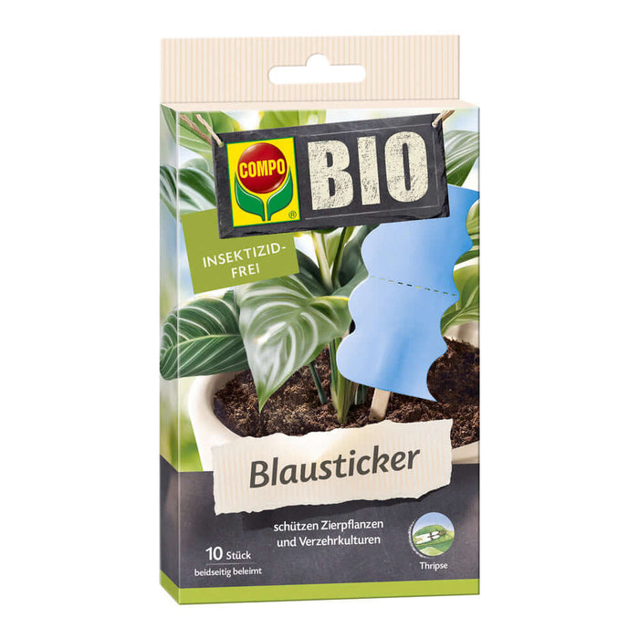 COMPO BIO Blausticker Leimfalle in dekorativer Form