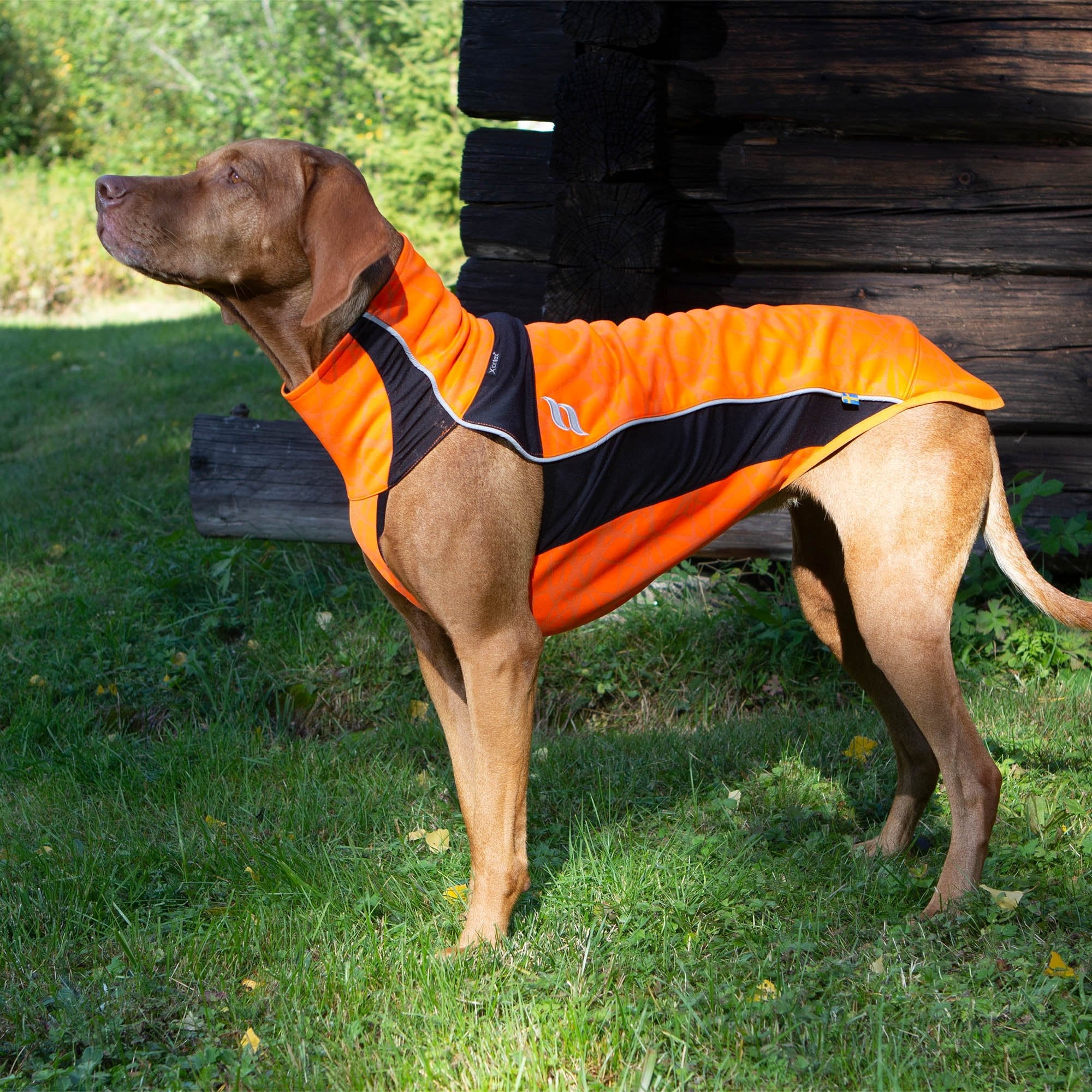 "Eddie" Hundepullover reflektierend