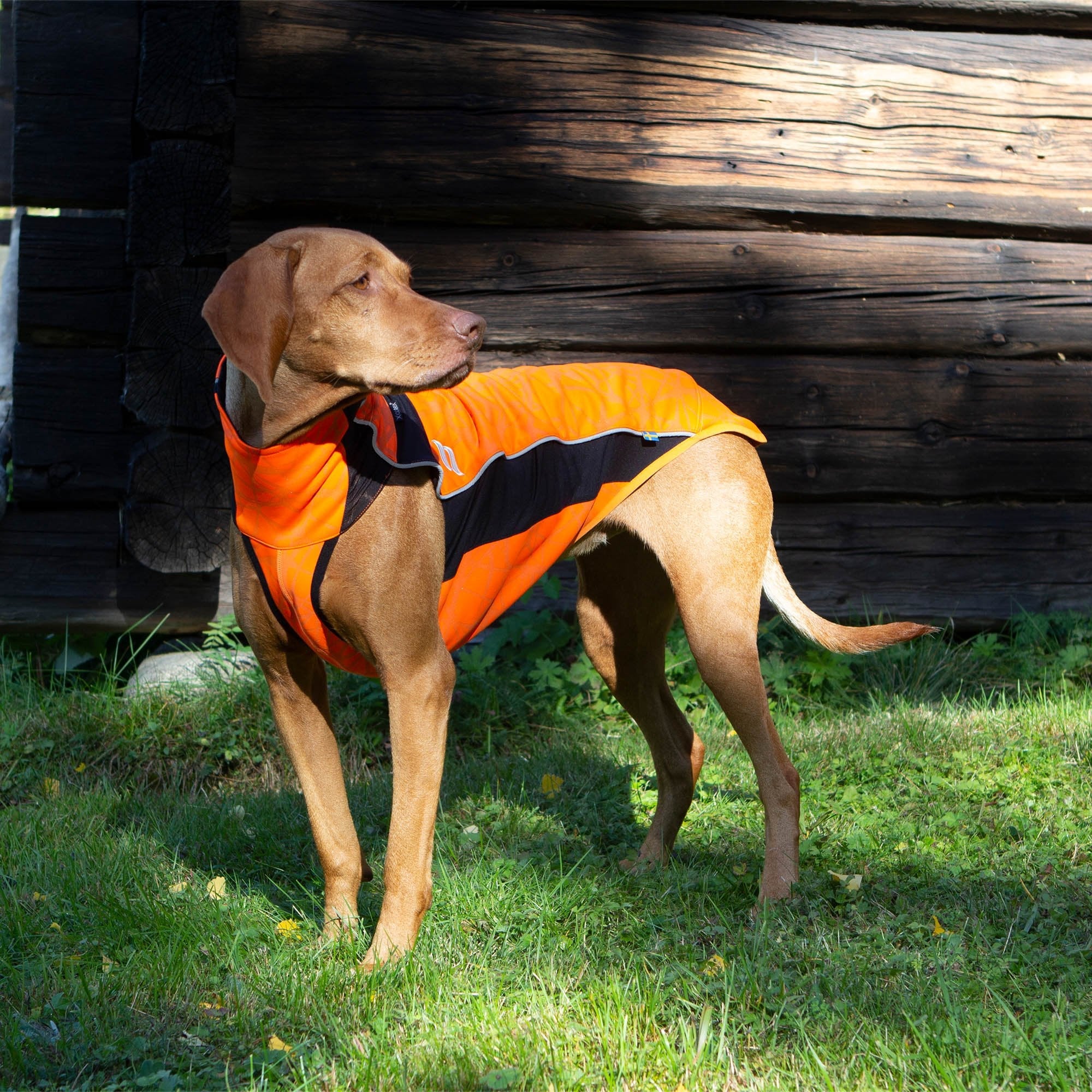 "Eddie" Hundepullover reflektierend