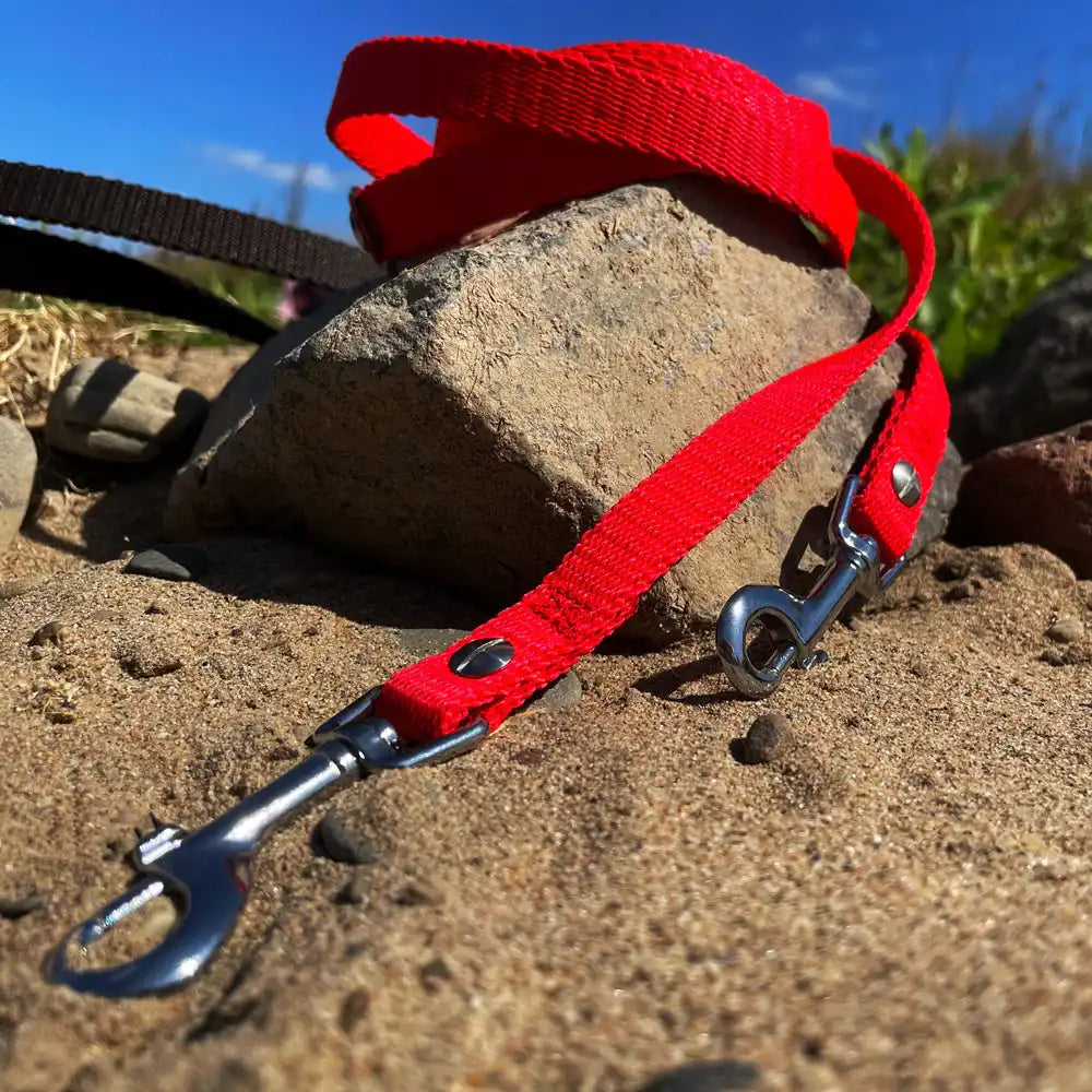 Hundeleine RATZFATZ aus BioThane®/POP - Band by Der Hundegefährte