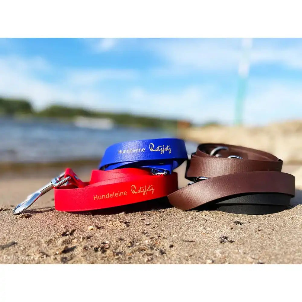 Hundeleine RATZFATZ aus BioThane®/POP - Band by Der Hundegefährte