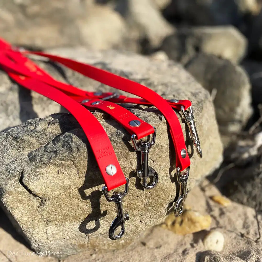 Hundeleine RATZFATZ aus BioThane®/POP - Band by Der Hundegefährte