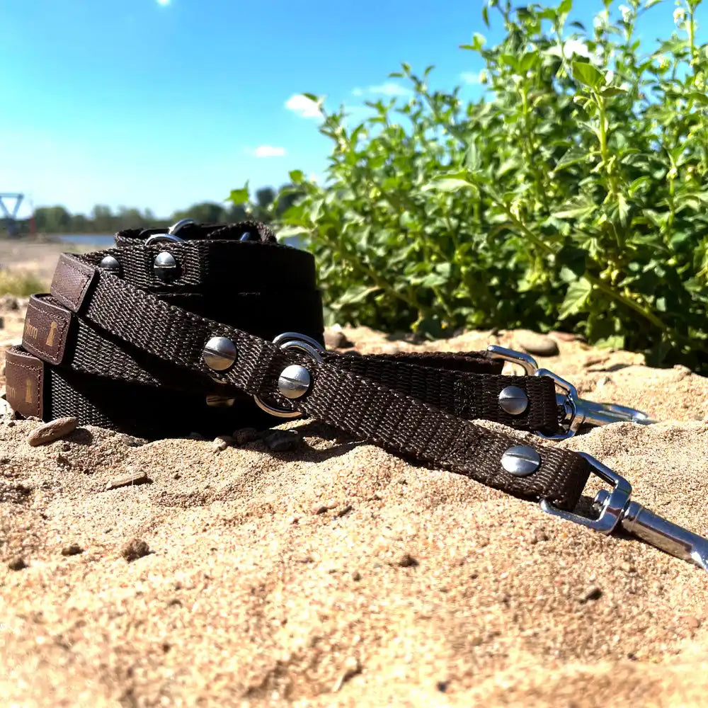 Hundeleine RATZFATZ aus BioThane®/POP - Band by Der Hundegefährte