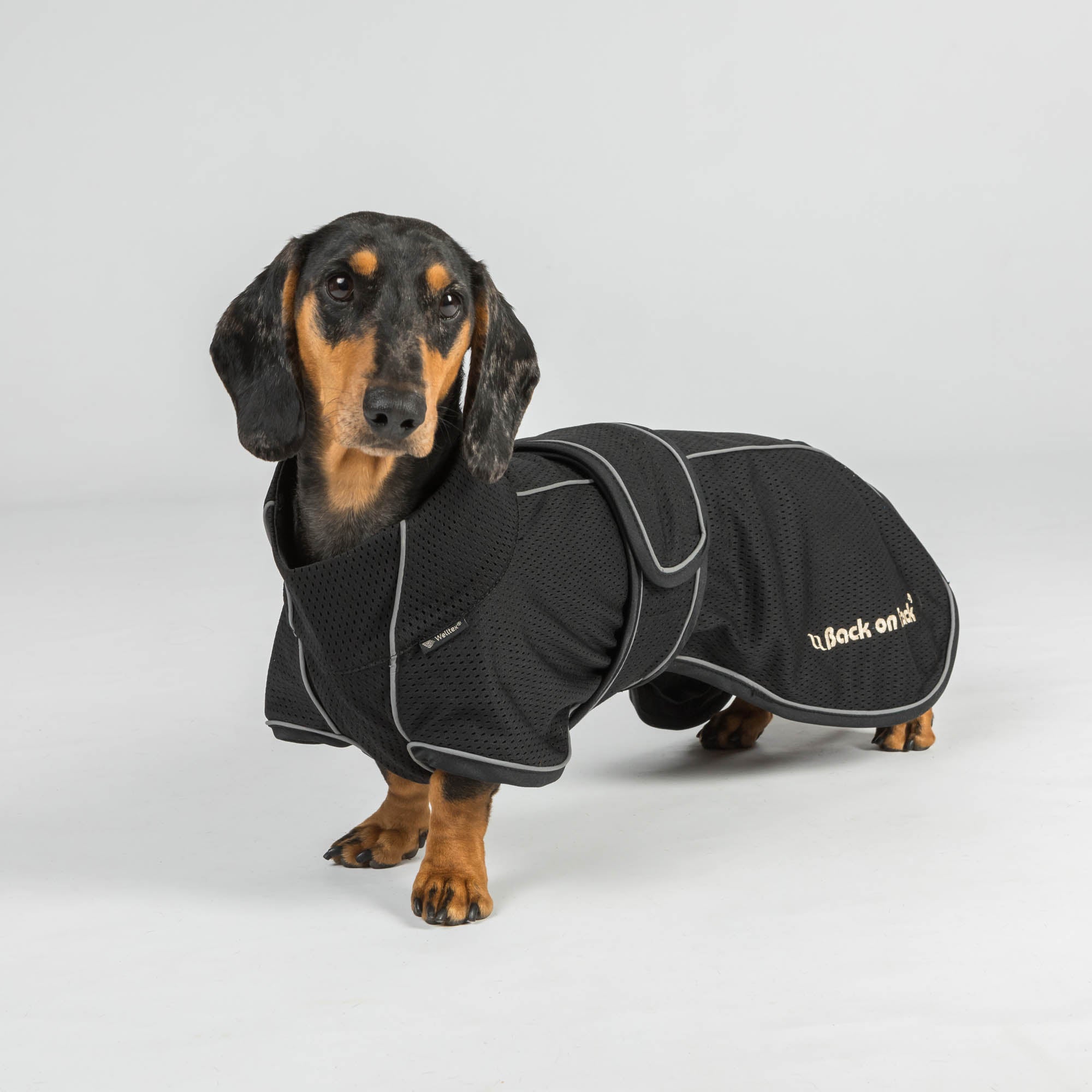 BUDDY 2.0 Netz-Hundemantel