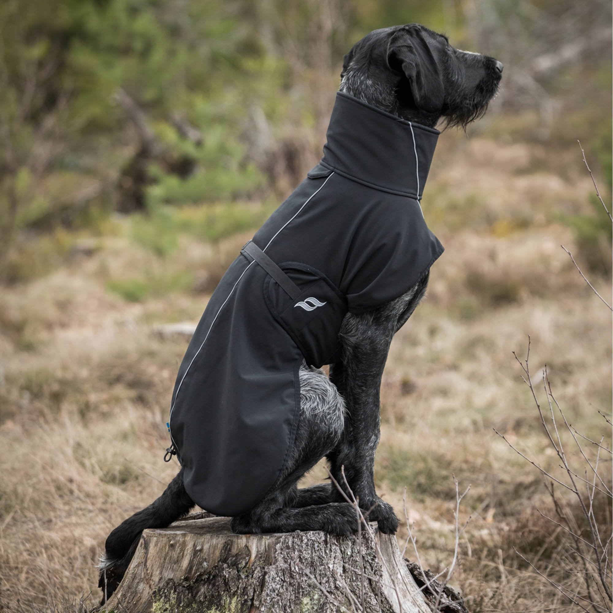 "Bark" Allround Hundemantel - Schwarz