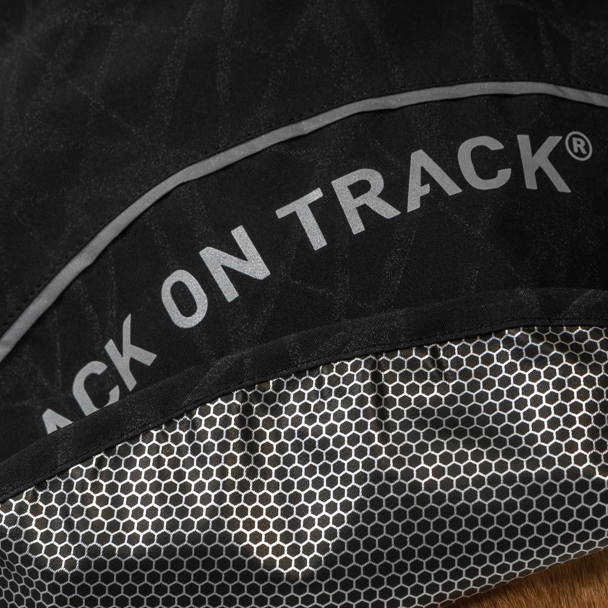 BAY Hunde-Regenmantel, Hoher Rutenansatz