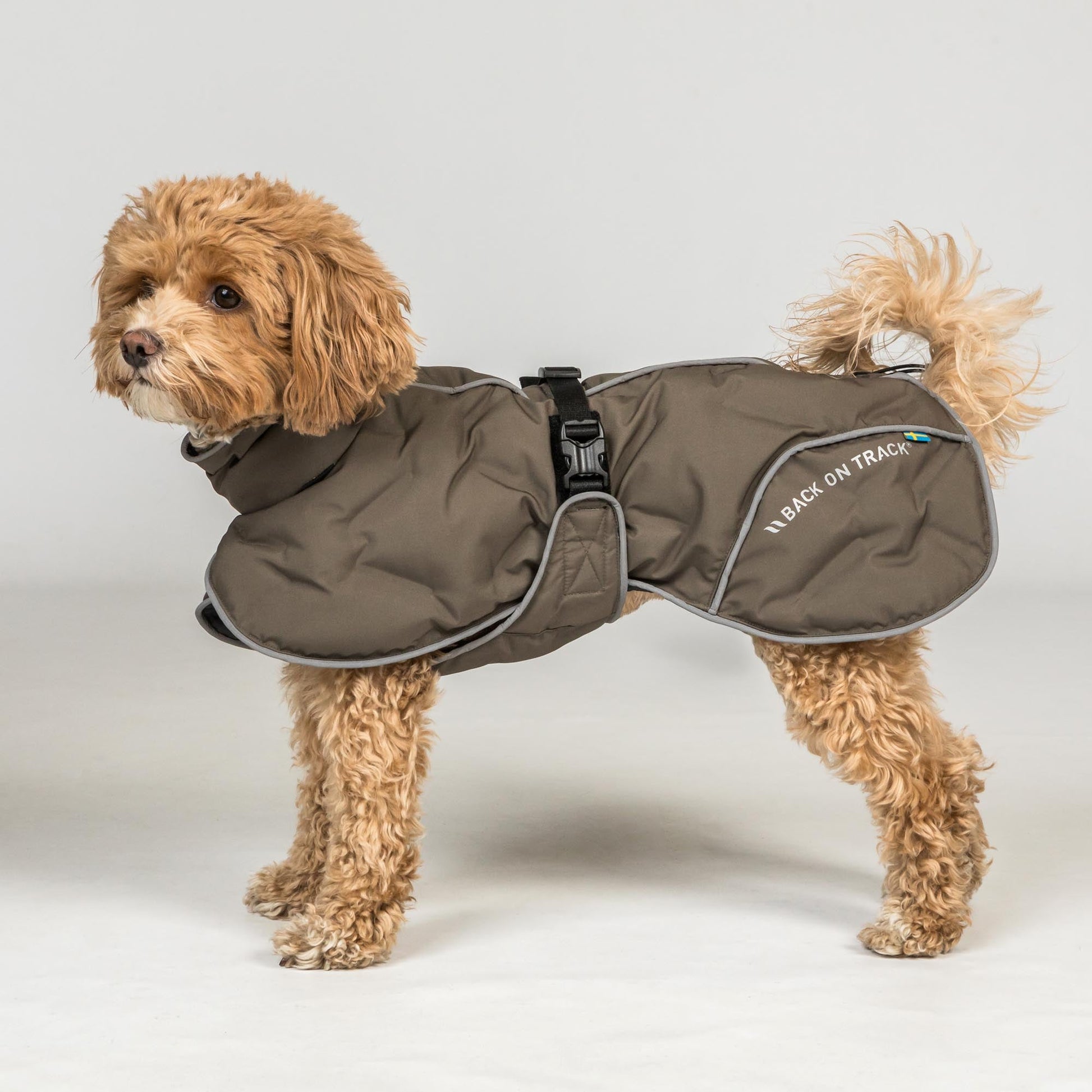 BAY Winter-Hundemantel, Hoher Rutenansatz