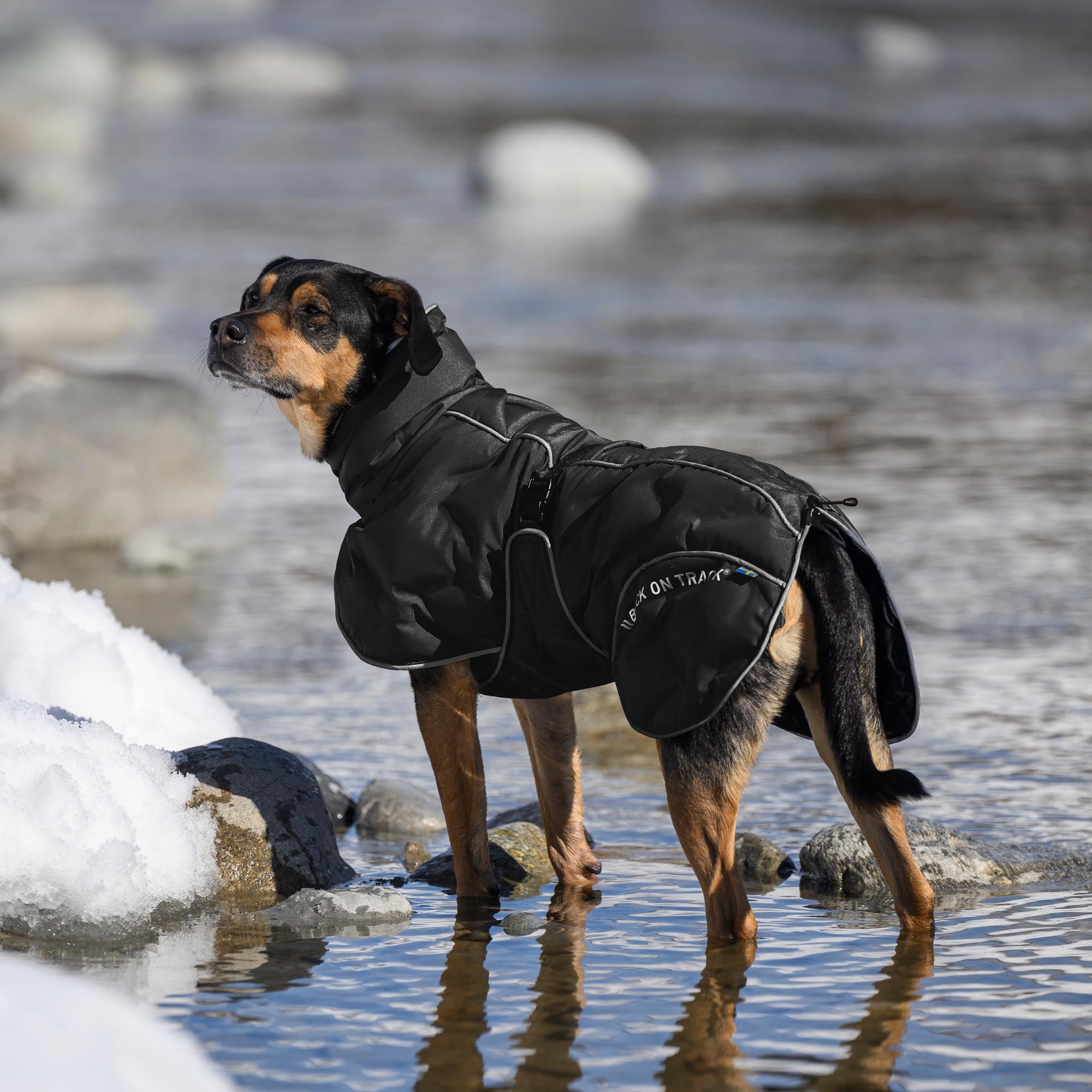 BAY Winter-Hundemantel, Hoher Rutenansatz