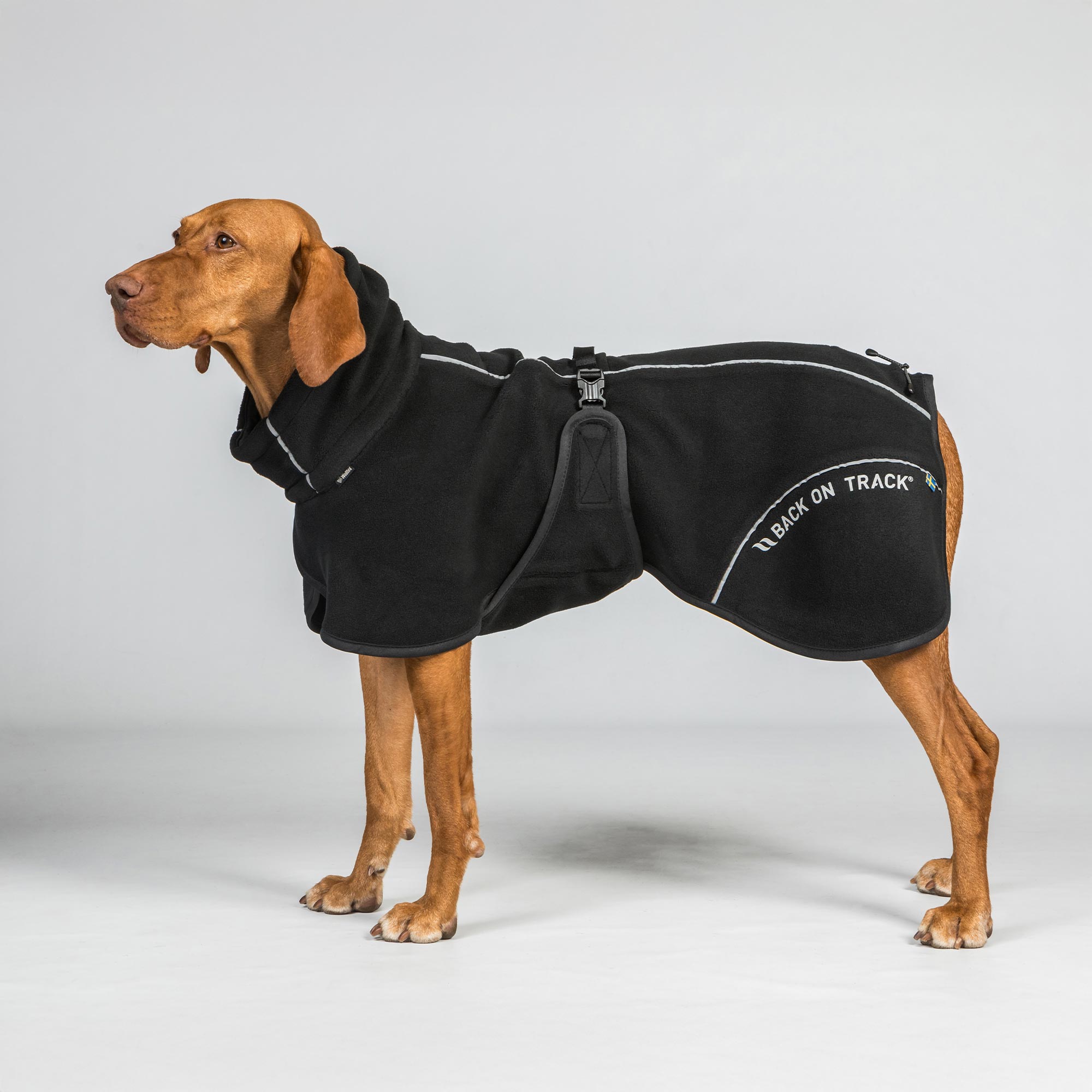 BAY Fleece-Hundemantel, Hoher Rutenansatz