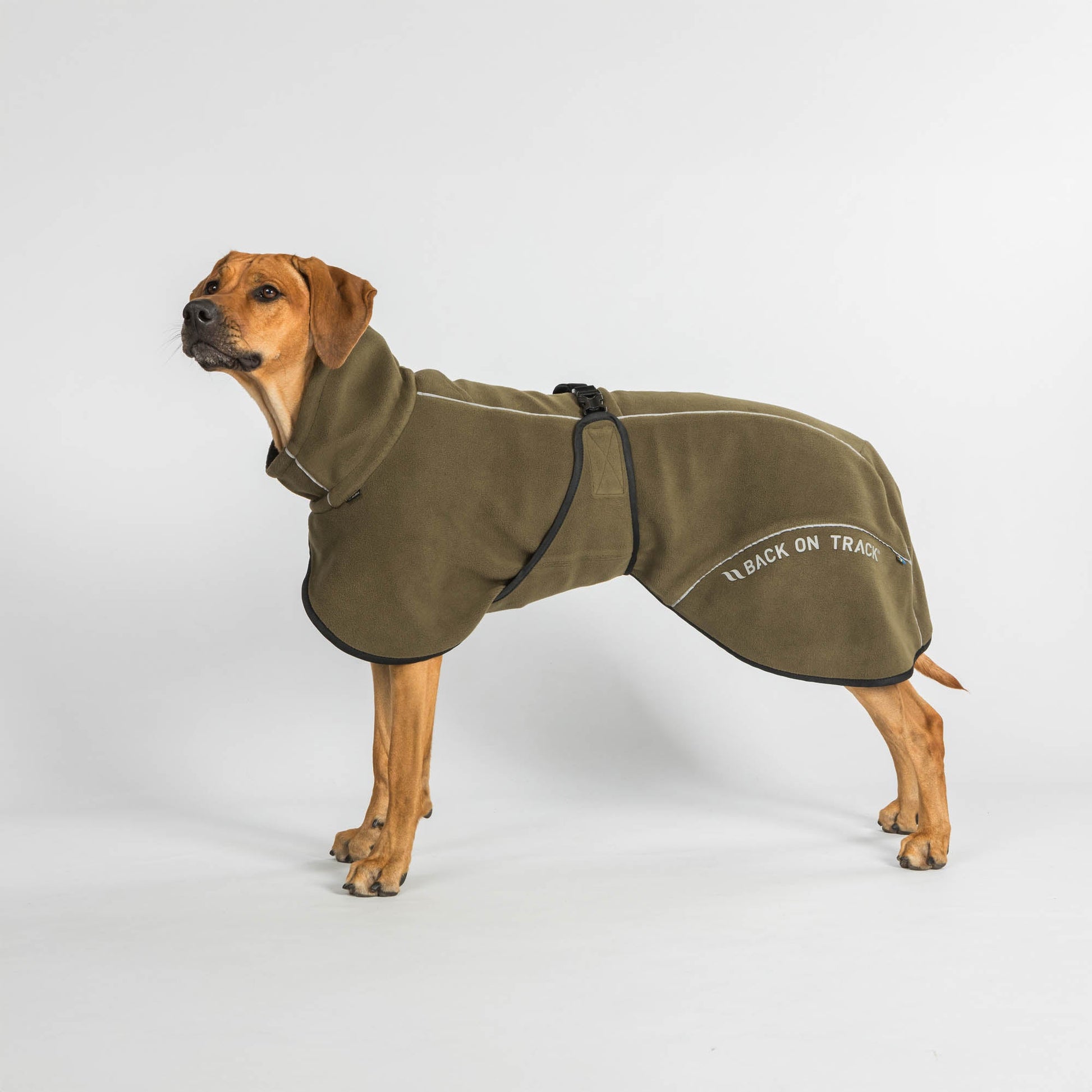 BAY Fleece-Hundemantel, Niedriger Rutenansatz